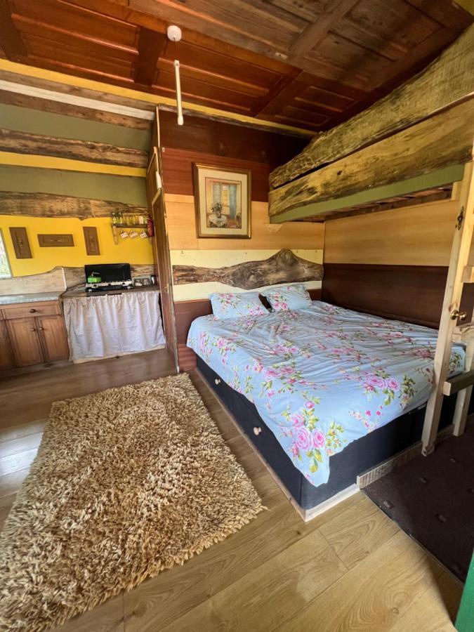 Foxglove Eco Lodge Llanelli Dış mekan fotoğraf
