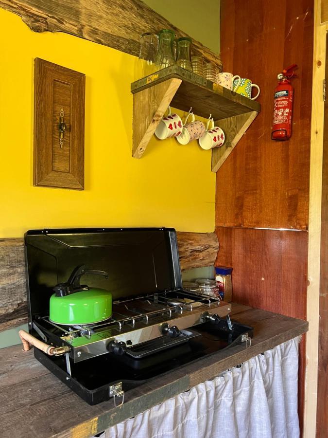 Foxglove Eco Lodge Llanelli Dış mekan fotoğraf