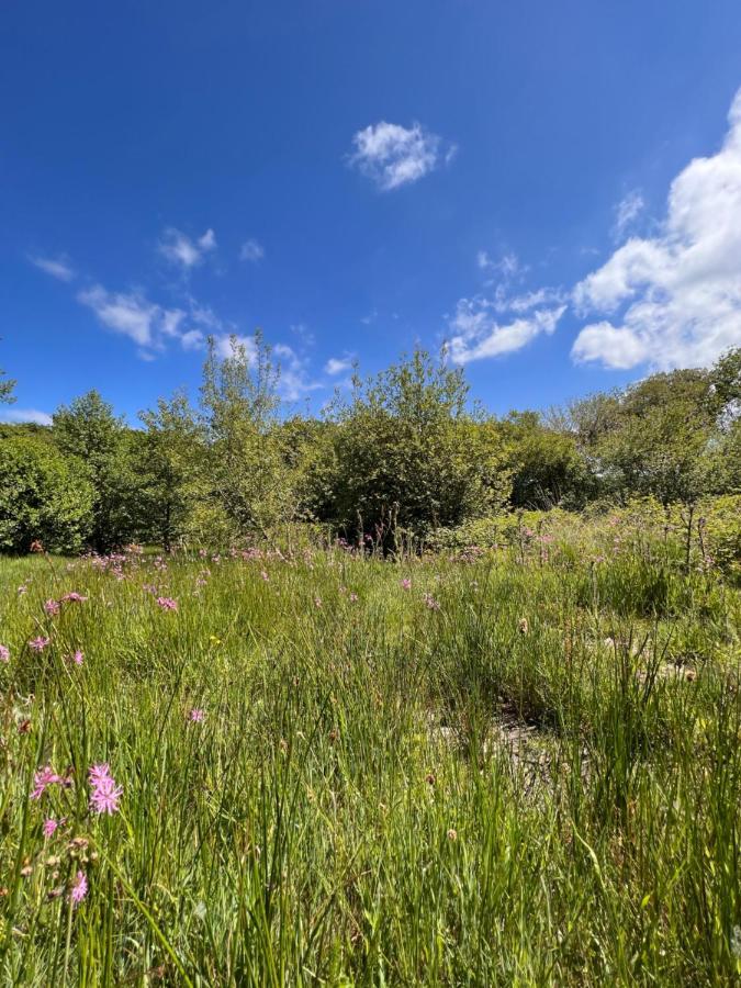 Foxglove Eco Lodge Llanelli Dış mekan fotoğraf