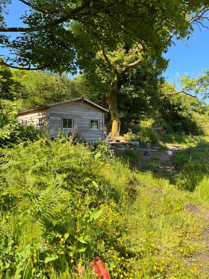 Foxglove Eco Lodge Llanelli Dış mekan fotoğraf